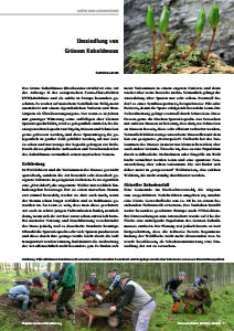 Bild der Titelseite der Publikation: Umsiedlung von Grünem Koboldmoos