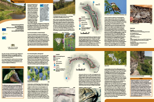 Bild der Titelseite der Publikation: Naturschutzgebiete bei Mühlacker