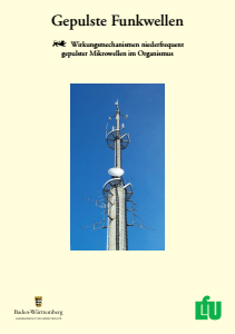 Bild der Titelseite der Publikation: Gepulste Funkwellen