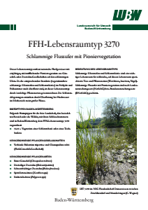 Bild der Titelseite der Publikation: FFH-Lebensraumtyp 3270