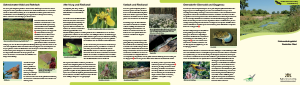 Bild der Titelseite der Publikation: Naturschutzgebiet Rastatter Ried