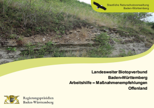 Bild der Titelseite der Publikation: Landesweiter Biotopverbund Baden-Württemberg Arbeitshilfe – Maßnahmenempfehlungen Offenland