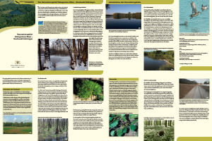 Bild der Titelseite der Publikation: Naturschutzgebiet Weingartener Moor - Bruchwald Grötzingen