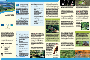 Bild der Titelseite der Publikation: Naturschutzgebiet Altrhein Kleiner Bodensee