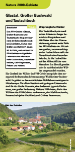 Bild der Titelseite der Publikation: Natura 2000 gemeinsam umsetzen - Glastal, Großer Buchwald und Tautschbuch