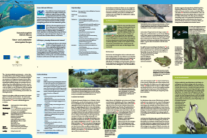 Bild der Titelseite der Publikation: Naturschutzgebiet Altrhein Maxau und Natur- und Landschaftsschutzgebiet Burgau