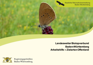 Bild der Titelseite der Publikation: Landesweiter Biotopverbund Baden-Württemberg Arbeitshilfe – Zielarten Offenland