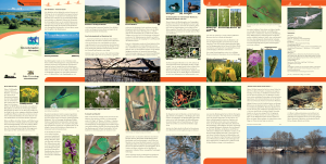 Bild der Titelseite der Publikation: Naturschutzgebiet Mindelsee
