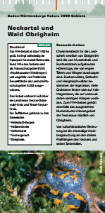 Bild der Titelseite der Publikation: Natura 2000 gemeinsam umsetzen - Neckartal und Wald Obrigheim