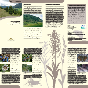 Bild der Titelseite der Publikation: Naturschutzgebiet Nordalbhänge