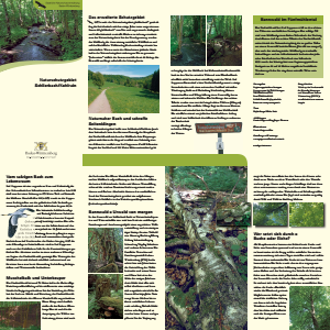 Bild der Titelseite der Publikation: Naturschutzgebiet Schlierbach / Kohlrain