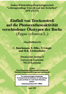 Bild der Titelseite der Publikation: Einfluß von Trockenstreß auf die Photosyntheseaktivität verschiedener Ökotypen der Buche (Fagus sylvatica L.)