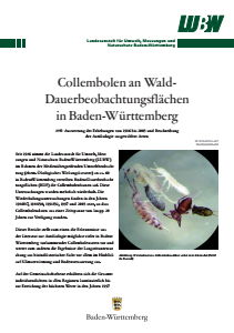 Bild der Titelseite der Publikation: Collembolen an Wald- Dauerbeobachtungsflächen in Baden-Württemberg