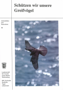 Bild der Titelseite der Publikation: Schützen wir unsere Greifvögel