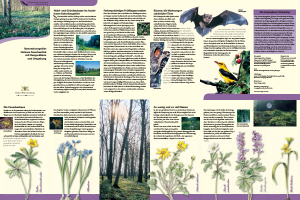 Bild der Titelseite der Publikation: Naturschutzgebiet Unteres Feuerbachtal mit Hangwäldern und Umgebung