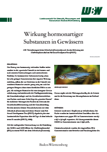 Bild der Titelseite der Publikation: Wirkung hormonartiger Substanzen in Gewässern