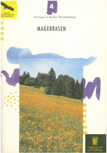Bild der Titelseite der Publikation: Magerrasen