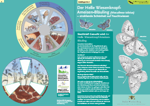 Bild der Titelseite der Publikation: Der Helle Wiesenknopf-Ameisen-Bläuling [Maculinea teleius]