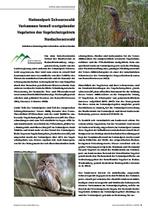 Bild der Titelseite der Publikation: Nationalpark Schwarzwald: Vorkommen formell wertgebender Vogelarten des Vogelschutzgebiets Nordschwarzwald