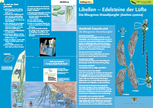 Bild der Titelseite der Publikation: Libellen - Edelsteine der Lüfte