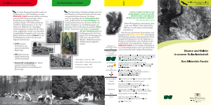 Bild der Titelseite der Publikation: Bäume und Wälder in unserer Kulturlandschaft