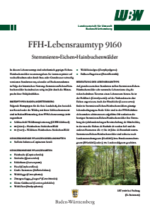 Bild der Titelseite der Publikation: FFH-Lebensraumtyp 9160