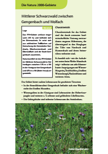 Bild der Titelseite der Publikation: Natura 2000 gemeinsam umsetzen - Mittlerer Schwarzwald zwischen Gengenbach und Wolfach