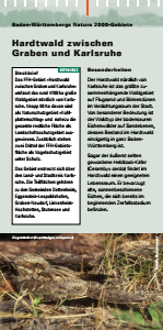 Bild der Titelseite der Publikation: Natura 2000 gemeinsam umsetzen - Hardtwald zwischen Graben und Karlsruhe
