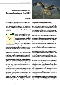 Bild der Titelseite der Publikation: Artenschutz und Windkraft: Das neue „Hinweispapier Vögel 2021“