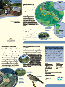 Bild der Titelseite der Publikation: Naturschutzgebiet Rohrachtal