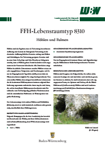 Bild der Titelseite der Publikation: FFH-Lebensraumtyp 8310