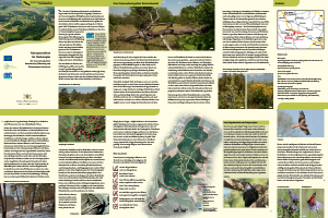 Bild der Titelseite der Publikation: Naturparadiese im Heckengäu