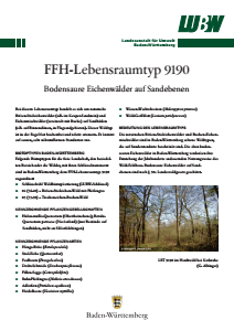 Bild der Titelseite der Publikation: FFH-Lebensraumtyp 9190