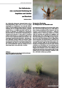 Bild der Titelseite der Publikation: Naturschutz-Info Oktober 2015