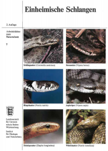 Bild der Titelseite der Publikation: Einheinische Schlangen