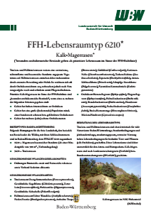 Bild der Titelseite der Publikation: FFH-Lebensraumtyp 6210