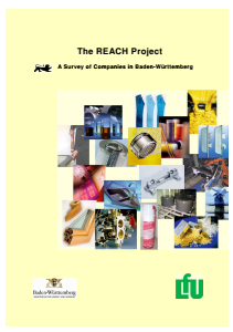 Bild der Titelseite der Publikation: REACH Project