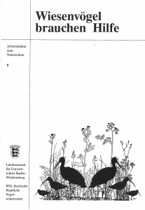 Bild der Titelseite der Publikation: Wiesenvögel brauchen Hilfe