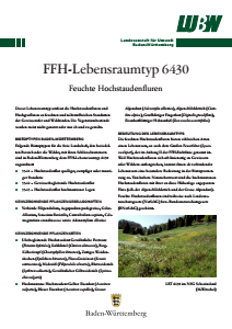 Bild der Titelseite der Publikation: FFH-Lebensraumtyp 6430