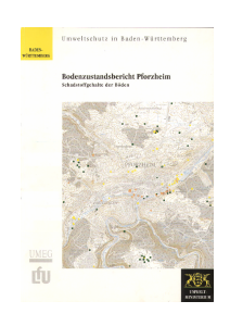 Bild der Titelseite der Publikation: Bodenzustandsbericht Pforzheim
