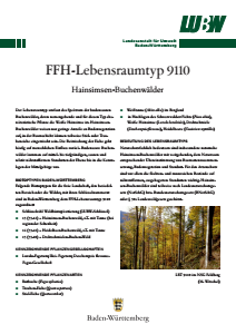 Bild der Titelseite der Publikation: FFH-Lebensraumtyp 9110