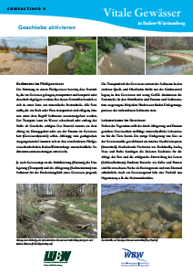 Bild der Titelseite der Publikation: Vitale Gewässer in Baden-Württemberg