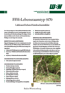 Bild der Titelseite der Publikation: FFH-Lebensraumtyp 9170