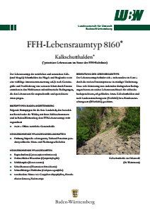 Bild der Titelseite der Publikation: FFH-Lebensraumtyp 8160