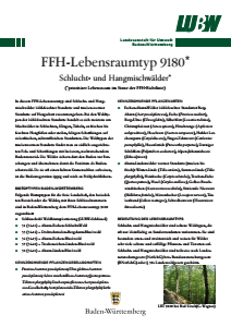 Bild der Titelseite der Publikation: FFH-Lebensraumtyp 9180