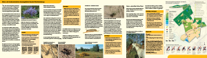 Bild der Titelseite der Publikation: Naturschutzgebiet Sandheiden und Dünen bei Sandweier und Iffezheim