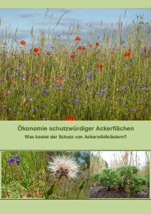Bild der Titelseite der Publikation: Ökonomie schutzwürdiger Ackerflächen