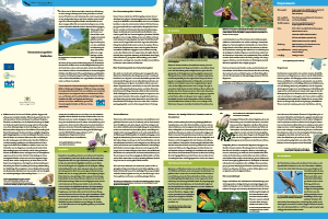 Bild der Titelseite der Publikation: Naturschutzgebiet Kalkofen