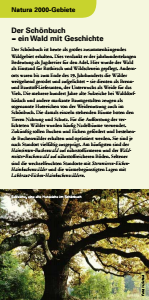 Bild der Titelseite der Publikation: Natura 2000 gemeinsam umsetzen - Der Schönbuch - ein Wald mit Geschichte