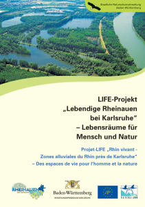 Bild der Titelseite der Publikation: LIFE-Projekt: Lebendige Rheinauen bei Karlsruhe